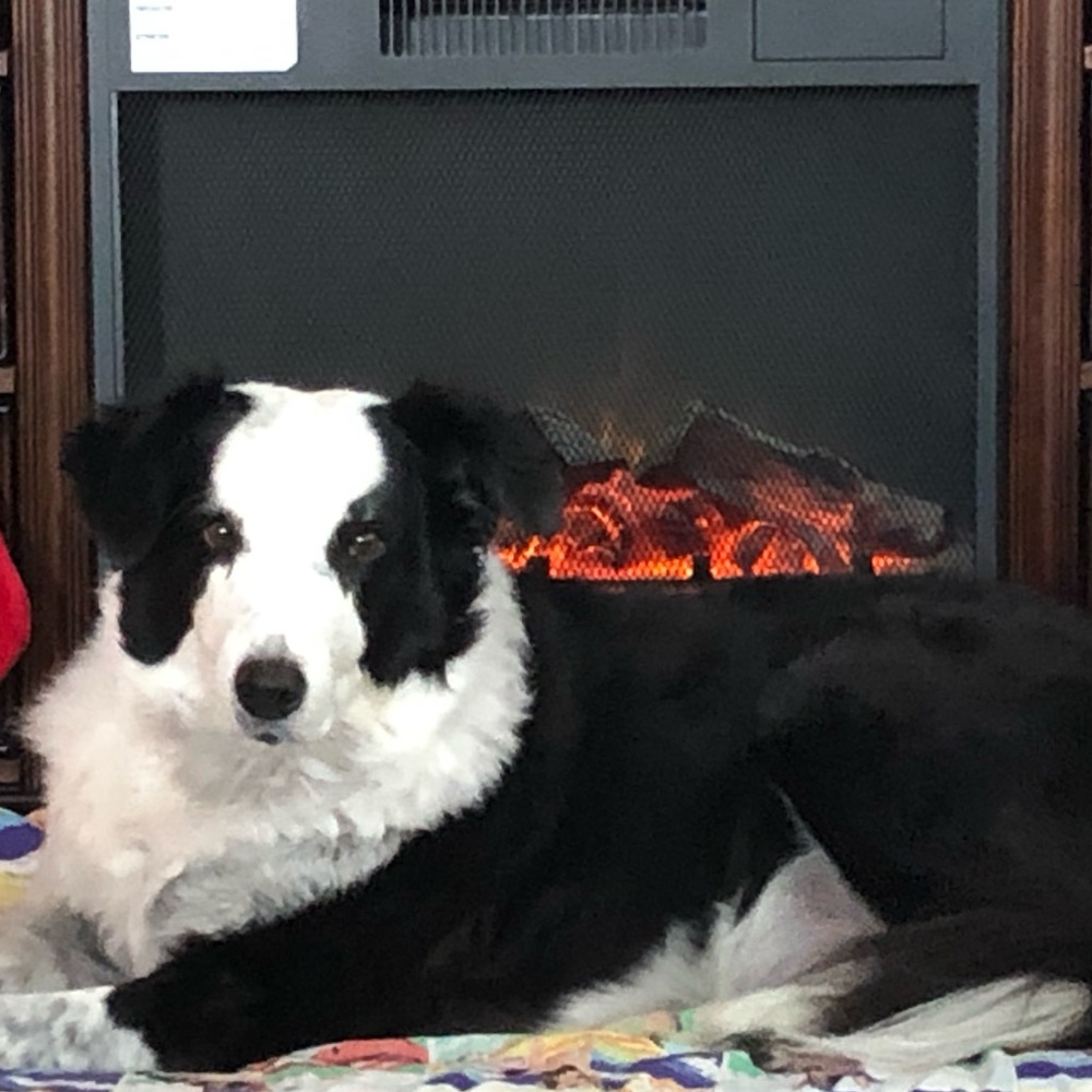 Meet your Posher, Julie